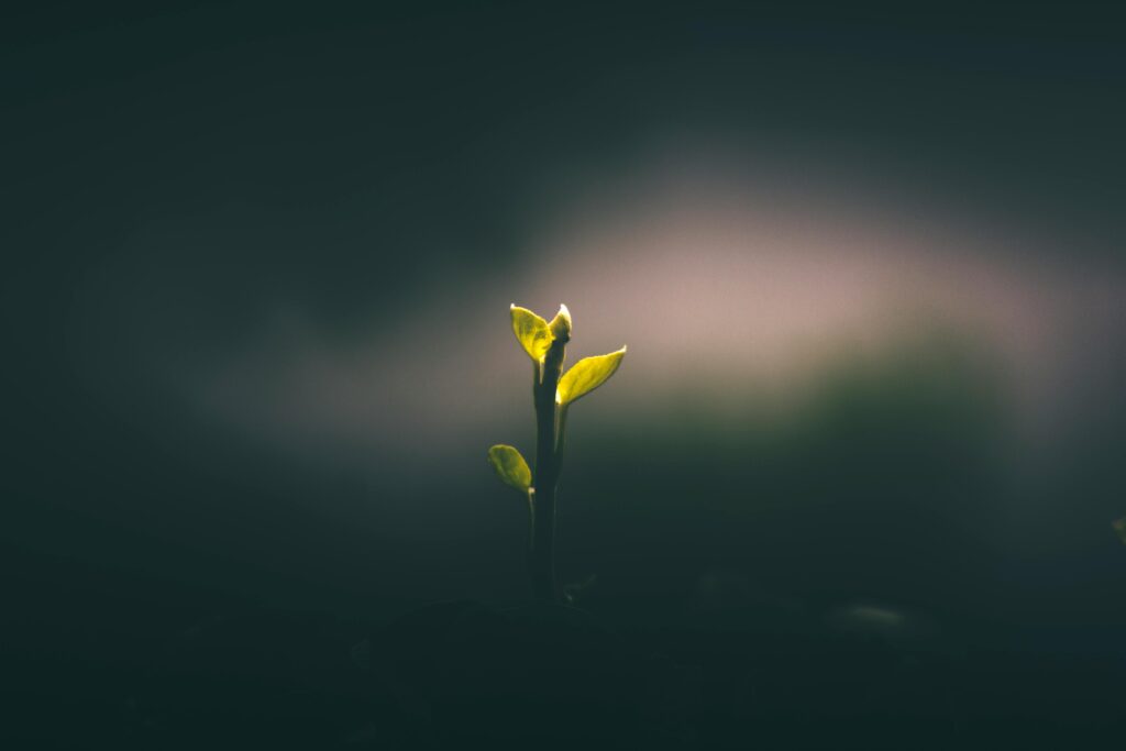 Growing Spiritually Every Day